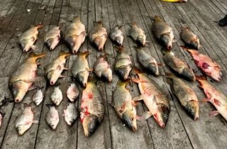 � �������� �������� ������� ������� ��������� ���������������� ����������������