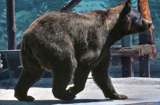 � �������� �������� ��������� ������� ����� ����� ������� ����� � �����