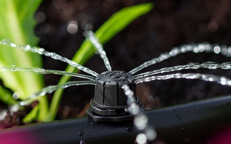 ��������� ����� ������