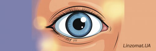 Linzomat.UA - ������� ���������� ���� ����