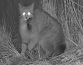 � ������������ ����� ������� ������������ ������ �����