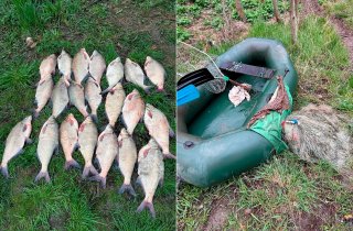 �� ���� �������� ��������� �������� 34 ������ ������ �� ���������� ����� ����