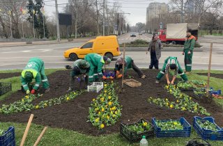 � ��� ������������ ������ ������ ������� 200 ����� ���� � ����������