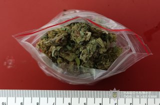 � ������ 72-������ ��������� �������� ���������� �� ����� � ������� ����� ��� ������