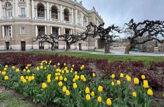 � ������ �������� �������� �������� ��������� �� 27 ��������