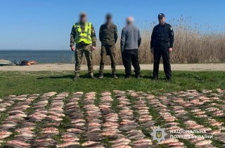 � �������� ������� ���������� ������ �� 3 ��� �� ���������� ����� ���� � ������������ ������