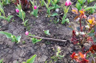 � ������ ������� �� ������ ��� �� ������ ���������� ��������