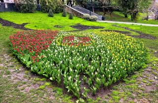 � ������������ ����� ������ ��������� ����� �������� �� ���������