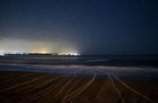 ����������� �������� � ���������� ������������� � �������� �������