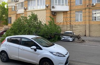 � ������ ��������� ����� ������� 54 ������