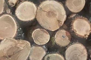 � �������� ������� ��������� �������� � �������������� ����������