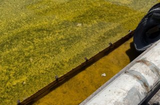 � ������ ���� ���������� ������� ����� ����� ����� �� �����