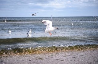 � �������� ������� ���������� ���������� ������ � ����