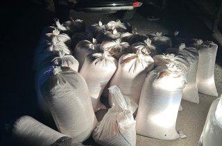 � ������ ����������� �������� � ���������� � ��������� �� ����� �����