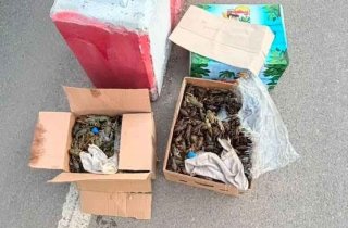 � �������� ������� �� ����������� ����� ������ ����� ����� ����� ��� ����������