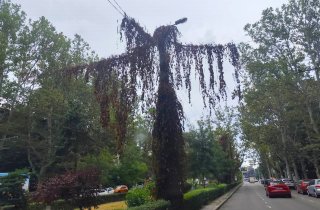 � ������ ������� ���������� ������������ �������� �� 36 ������ ���������
