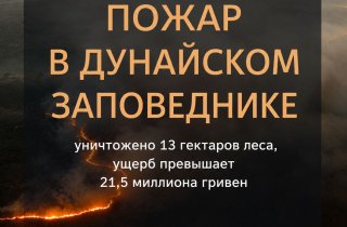 ������� �������� ����� ������� ����� � ��������� �����������