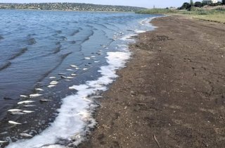 � ������������ ������ ���������� �������� ������ ���������