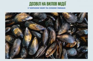 � ׸���� ���� � ����� ������ ��������� ������ �� ����� �����
