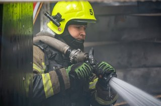 ������ ����� �� ������ 24 ��������: ���������� ����� ���� � ����������� �������