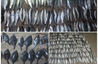 � �������� ������� ���������� �������� ����� 480 ��� � ����������� ��������